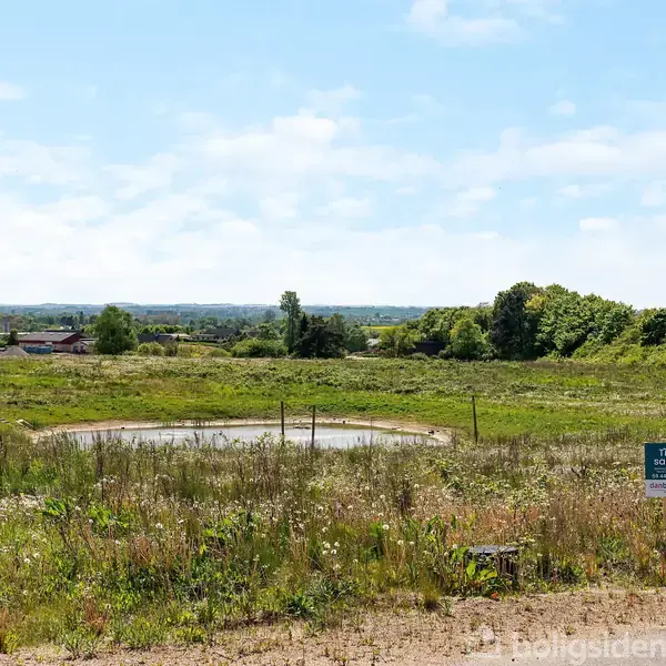 En grøn mark med vilde blomster og buske. Et lille vandhul er i midten, omgivet af træer og en blå himmel. Skilt med tekst: "Til salg Kontakt EDC Poul Erik Bech".