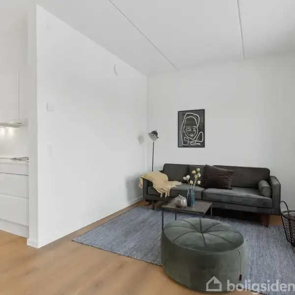 Stue med grå sofa, sort-hvidt vægkunst bagved, og moderne lampe ved siden. Køkken til venstre med hvidt interiør. Rummets trægulv og et tæppe tilføjer varme.