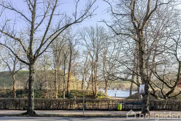 Ejerlejlighed på Grønningen 7, st. th., 1270 København K