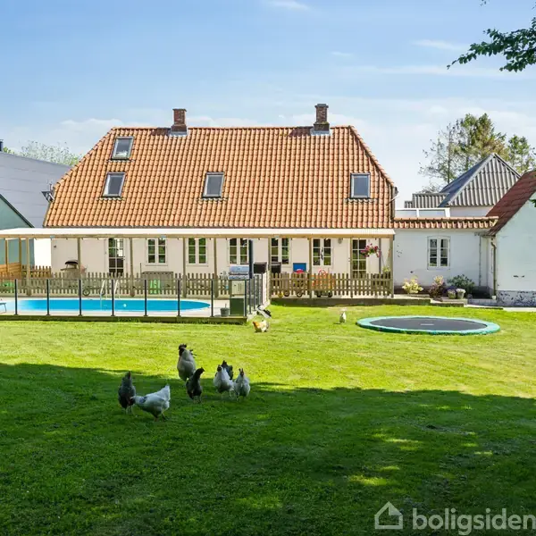 Et landhus med rødt tegltag står omgivet af en stor græsplæne. Høns går frit omkring. Til venstre ses en pool lænet op ad huset. Trampolin er placeret til højre.