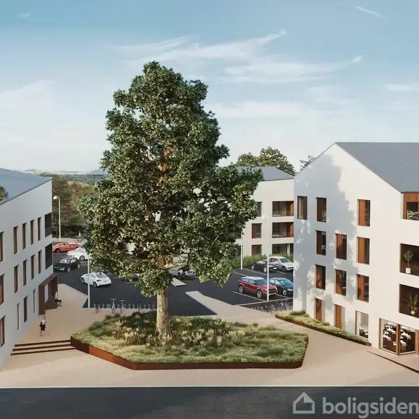 En stor, frodig træ vokser mellem to moderne, hvide bygninger med mange vinduer. I baggrunden ses parkerede biler og en blå himmel.