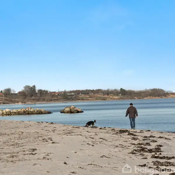 En person går langs en sandstrand med en hund, der snuser nær vandkanten. I baggrunden er der klippeformationer og træer under en klar blå himmel.