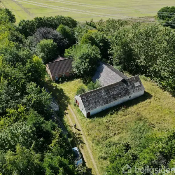 En stor aflang lade med grå tagsten står ved siden af et mindre hus med rødt tegltag. Alt er omgivet af tæt skov og en grusvej snor sig gennem området.