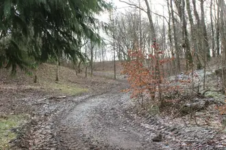 Landejendom på Skovvej 1, Hvalpsund, 9640 Farsø
