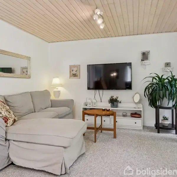 Gråt sofaarrangement står mod en væg med spejl, pyntet med blomsterpuder. Et TV hænger på væggen over et bord med planter. Stuen har lyst trægulv og tæppe.