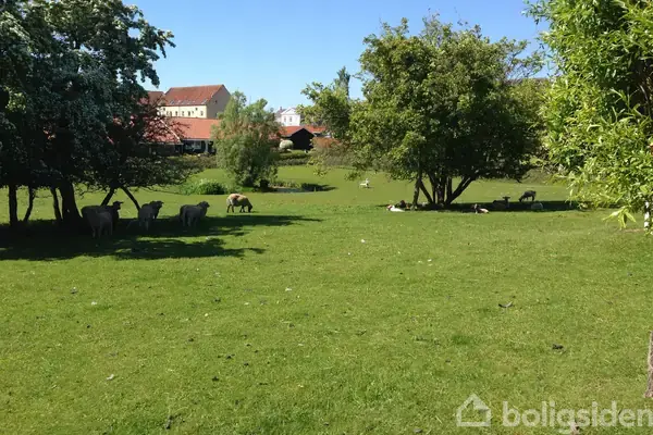 Helårsgrund på Odensevej 64B, 5600 Faaborg