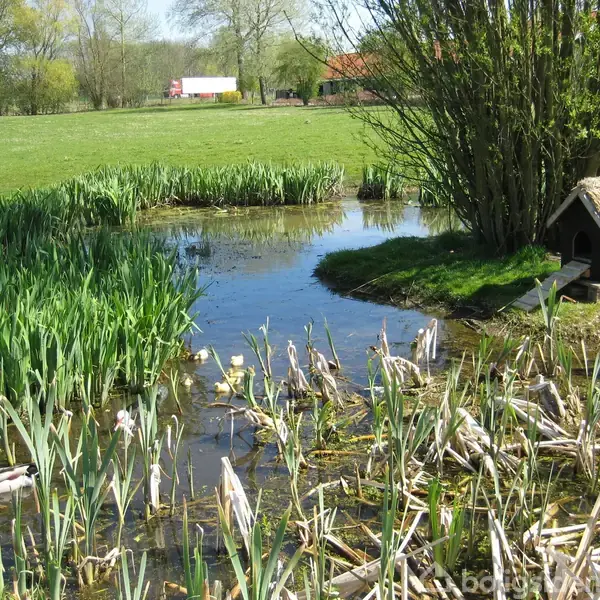 Andehus står ved dam, omgivet af græs og høje planter. En and svømmer i vandet. I baggrunden ses åbne marker og træer under en klar himmel.