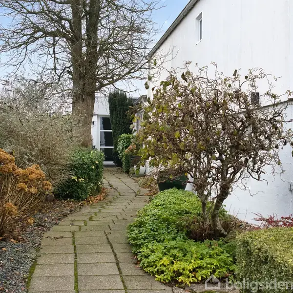 En flisebelagt sti fører forbi velplejede buske og træer foran en hvid bygning med tallet "8" på en væg, omgivet af en frodig have i vintertid.