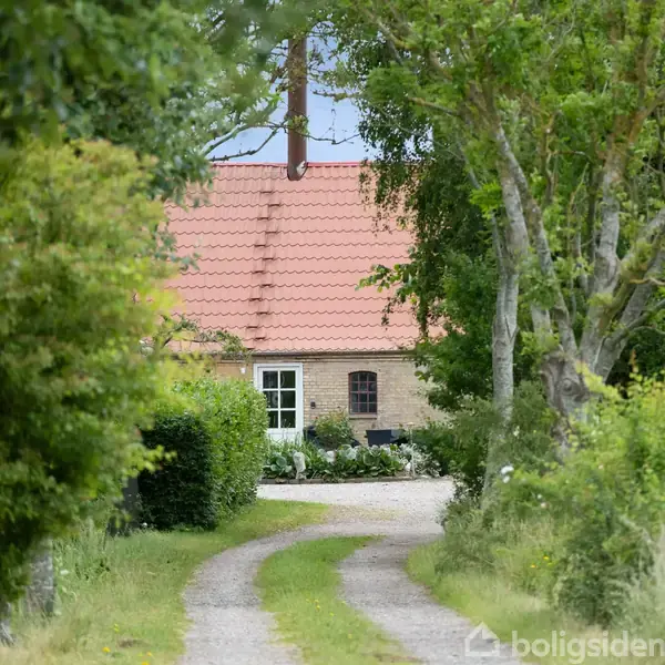 Hus med rødt tegltag ses i baggrunden af en grusvej, omgivet af frodig grønne træer og buske, der skaber en landlig scene.