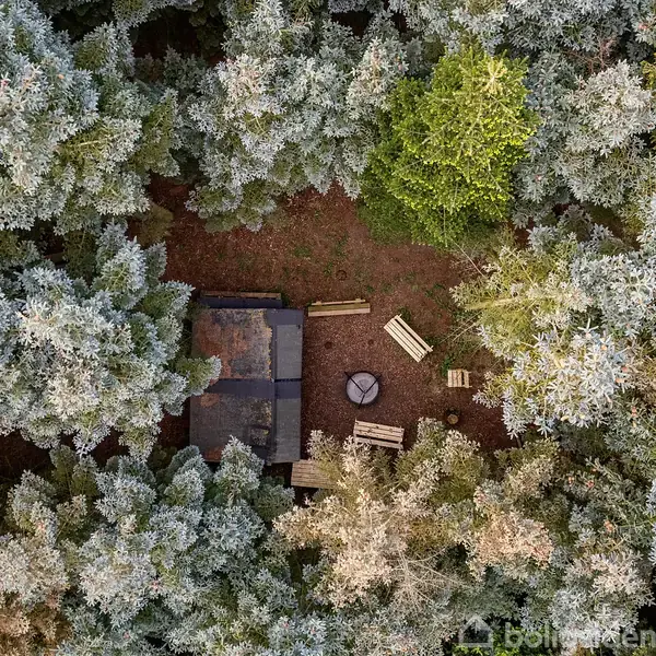 Et lille skur er omgivet af tætte træer set fra oven. Ved siden af skuret står der bænke og et bålsted på en åben jordplads.