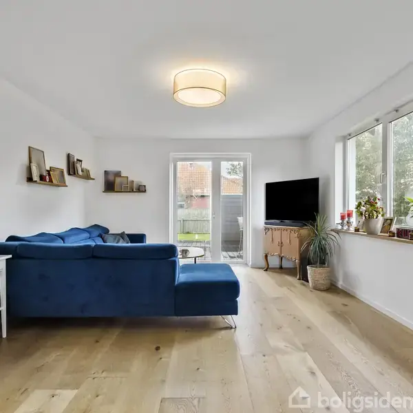En blå sofa står ved en stor glasdør, omgivet af hvide vægge og trægulv. En fladskærms-TV står ved siden af stueplanter på vindueskarmen.