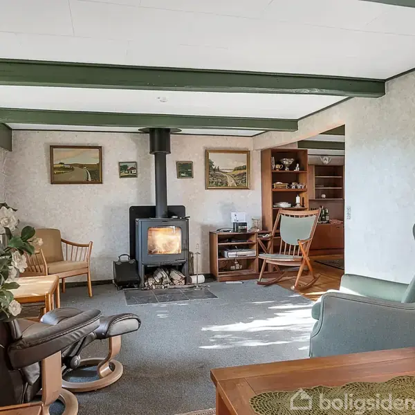 Brændeovn står midt i stue med tæppebelagt gulv. Omkring er der komfortable lænestole, reol og billeder på væggen. Store vinduer lader lys strømme ind, mens planter dekorerer rummet.