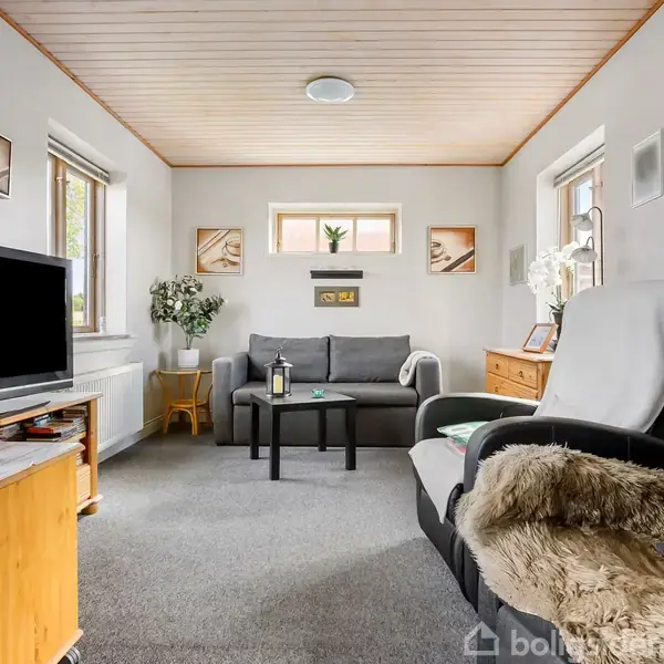 Et moderne stueområde med en grå sofa og lænestol, omkranset af hvide vægge med dekorationer. Et fjernsyn står på et træbord, omgivet af vinduer og planter.