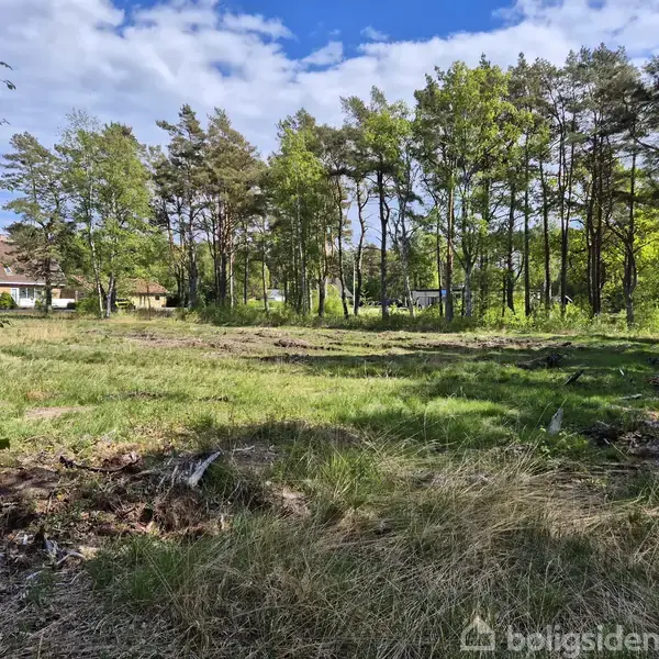 En åben græsmark strækker sig mod en række træer under en blå himmel med hvide skyer. I baggrunden ses et hus til venstre.