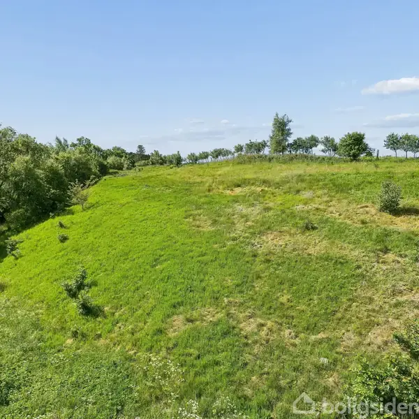 Grøn græs-bakke strækker sig i forgrunden, mens spredte træer og lav vegetation omringer området under en klar blå himmel.