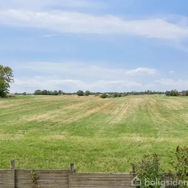 En grøn mark strækker sig i det fjerne med enkelte træer i horisonten. Foran marken ses en lav hegn. Himlen er blå med lette skyer.