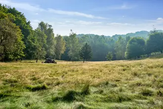 Fritidsgrund på Mølleskoven 49, 9260 Gistrup