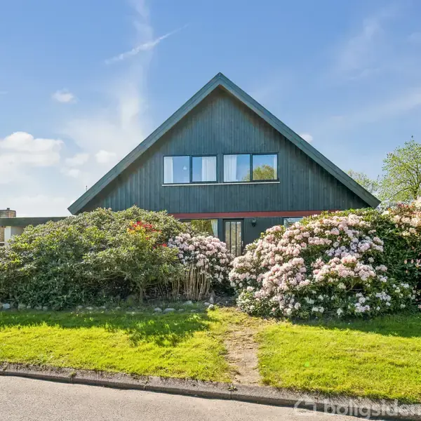 Et mørkt træhus med store vinduer står i en have omgivet af frodige buske med lyse blomster, beliggende i et solrigt boligkvarter under en klar blå himmel.