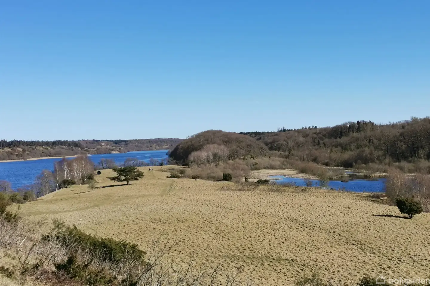 Sommerhusgrunde hvor du bliver en del af naturen! - View 5