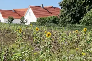 Landejendom på Røddingevej 58, 4780 Stege