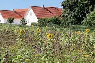 Landejendom på Røddingevej 58, Røddinge, 4780 Stege