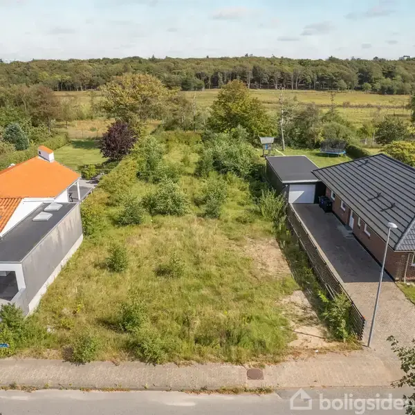 Grunden på billedet er dækket af græs og buske, beliggende mellem to huse; det ene med rødt tag, det andet med sort tag. Baggrunden viser en skov.