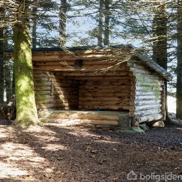 Shelter i træ står stille i en snedækket skov. Tekst "Trolde-Bo" er skrevet på taget. Træer omgiver lyet, og en lanterne hænger indeni.