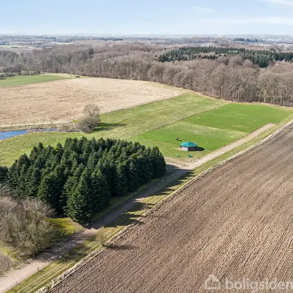 En træbygning med grønt tag står midt på en snedækket mark. I baggrunden ses en skov, og der er hegnspæle rundt om bygningen. En gren rager ind i billedet.