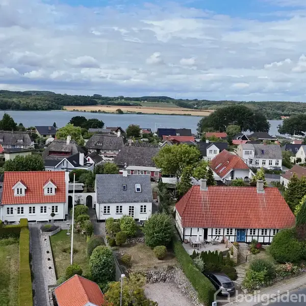 Flere rødtagsbeklædte huse står stille i en landsby ved en sø, omgivet af grønne træer og marker under en delvist skyet himmel.