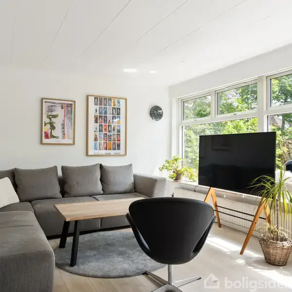 Grå sofa med puder står i en lys stue med stort vinduesparti. TV og planter placeret ved siden af, og to billeder hænger på væggen. Rundt tæppe under sofabord.