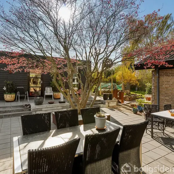 Havebord med stole står på en flisebelagt terrasse under et blomstrende træ. Omgivet af potteplanter og en sort væg med vinduer, i baggrunden ses en have i sollys.