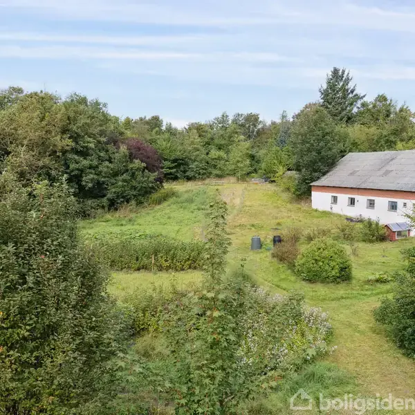 En hvid bygning står stille ved en stor, grøn have omgivet af tætte træer og buske. I baggrunden strækker skove sig mod en blå himmel.
