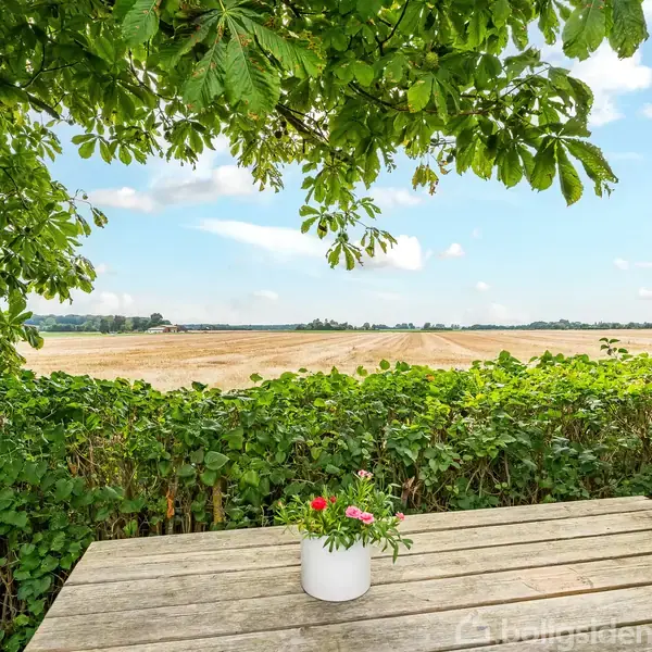 Træbord med en hvid vase fyldt med blomster står stille i en have, omgivet af buske, med en udsigt over en gylden mark under en blå himmel.