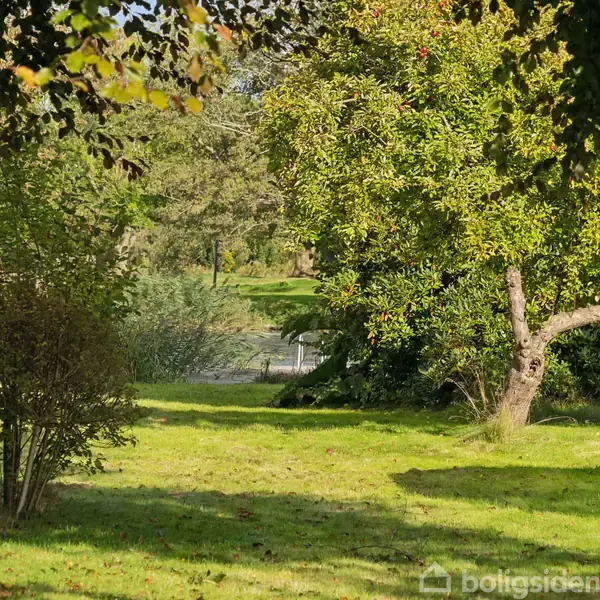 Træer står stille i en grøn have med klippet græs; i baggrunden ses en gangsti. En del af et drivhus er synligt til højre.