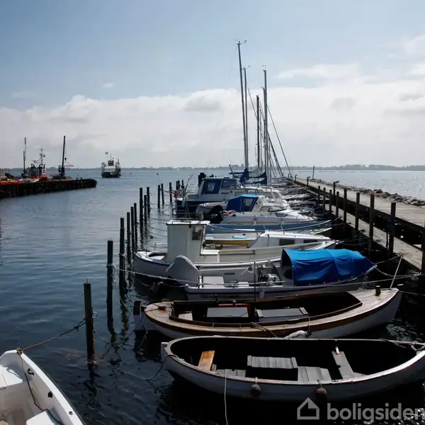 Både ligger fortøjret ved en træmole i en stille havn. De ligger på rad og række og er omgivet af roligt vand og en klar himmel.