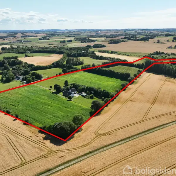 Luftfoto af landbrugsområde med en stor, grøn mark omgivet af en rød streg, der tydeliggør grænserne. Marker med gyldne afgrøder ses rundt om i landskabet.