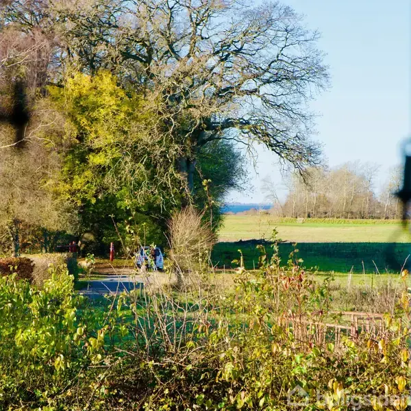 En sti med cyklister gennem en frodig have set fra et vindue. Store træer omgiver stien, og i baggrunden ses åbne marker og en blå himmel.