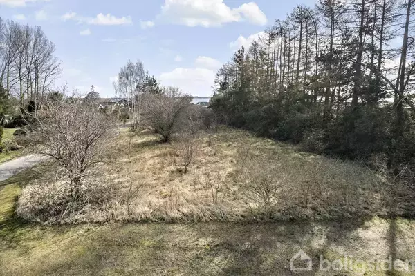 En åben græsmark med spredte buske omgivet af høje træer i foråret under en blå himmel med skyer.