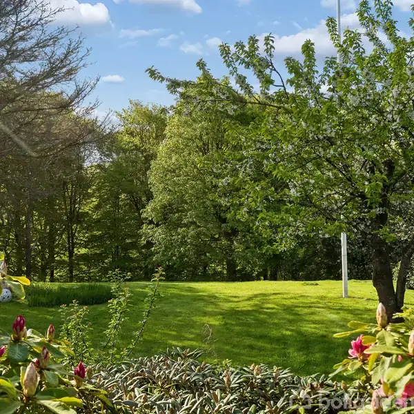 En grøn have med et stort træ og blomstrende buske i forgrunden. Solen skinner klart på det velplejede græs, og baggrunden består af tæt skov.
