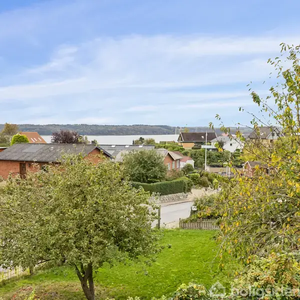 Et træ står i en frodig have, omgivet af buske og græs. I baggrunden ses en vej, huse og en sø under en blå himmel.