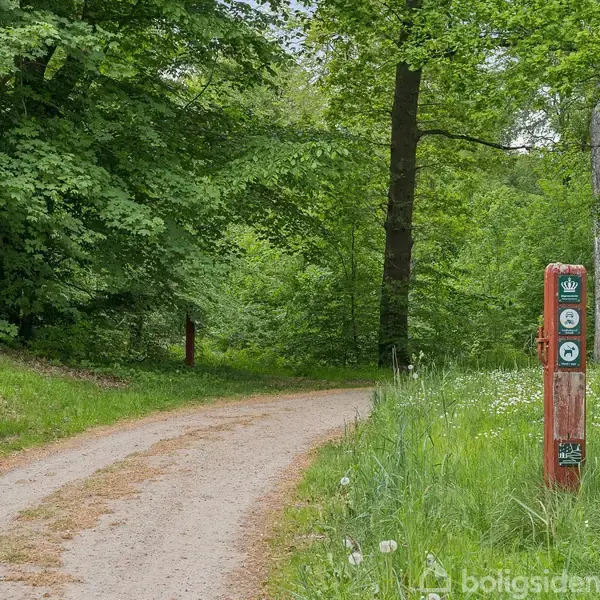 En grussti snor sig gennem en frodig skov, hvor en rød træpæl med flere symboler står i græsset. Symbolerne er: krone, cykel og gående person.