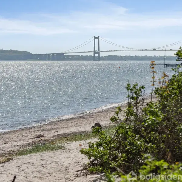 Strand med sand og planter i forgrunden strækker sig mod en stor hængebro i baggrunden over en glitrende vandflade. Blå himmel og let kuperet landskab ses i horisonten.