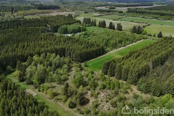 Landejendom på Nebelvej 38, 6623 Vorbasse