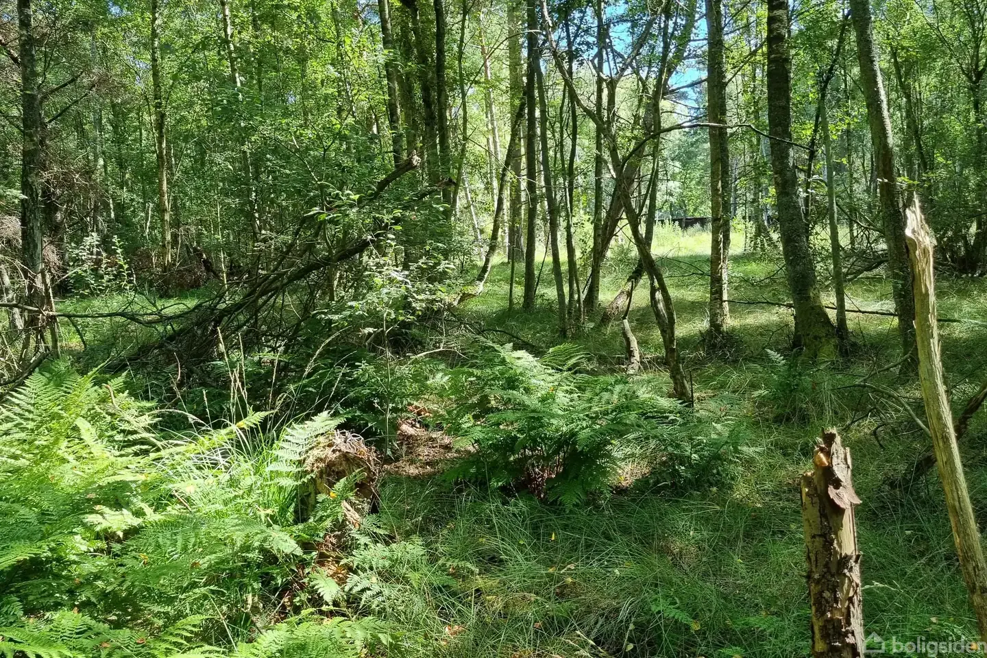 Fritidsgrund på Grankrogen 4, 9940 Læsø