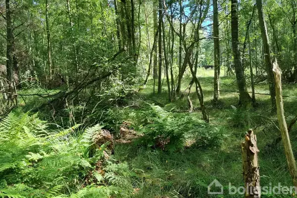 Fritidsgrund på Grankrogen 4, 9940 Læsø