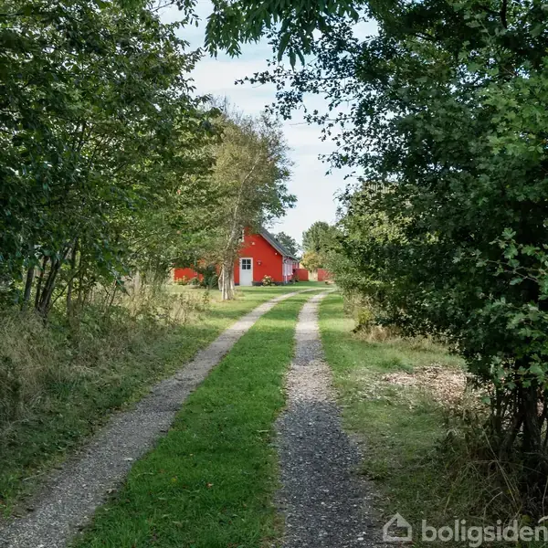 Et rødt hus står i baggrunden af en grussti omgivet af træer og buske. Sollys falder gennem træerne i et naturpræget og fredeligt landskab.
