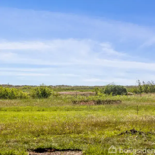 En grøn mark strækker sig ud i horisonten, omgivet af lav vegetation og buske, under en klar blå himmel.