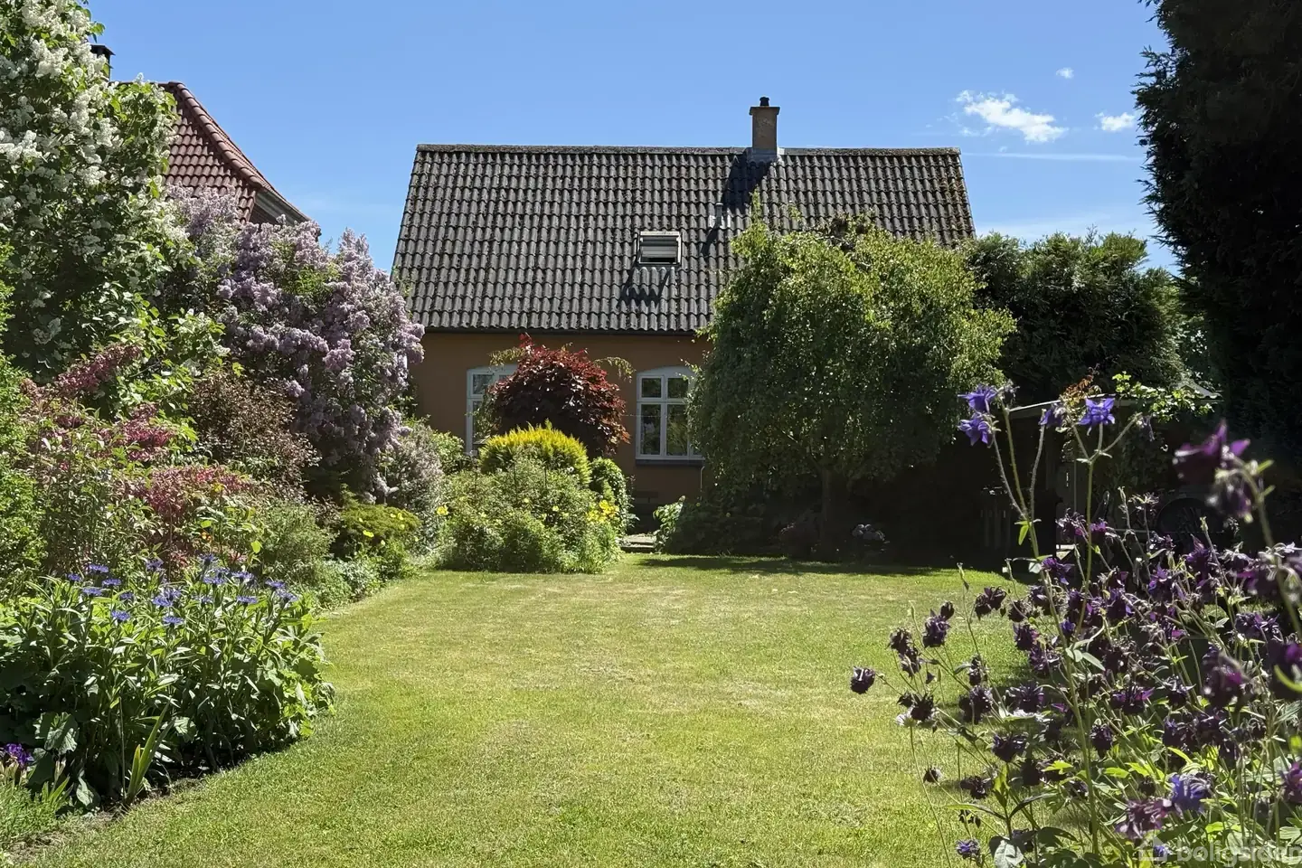 En sjælden oase midt i Ørbæk – ca. 2.500 m² natur, haveidyl og charme