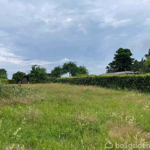 Græsmark strækker sig foran en række træer og en hæk. Himlen er overskyet. Ingen synlig tekst i billedet.