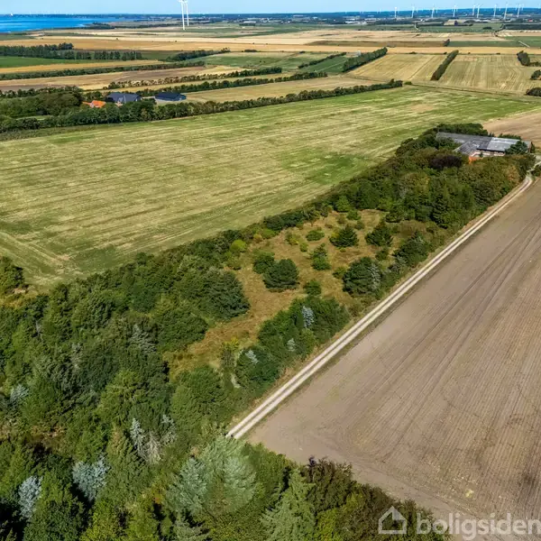Luftfoto viser marker. En vej løber langs en skovbevoksning. Rækkehuse og gårde ses i baggrunden omgivet af åbne marker og skovstykker i et landdistrikt.
